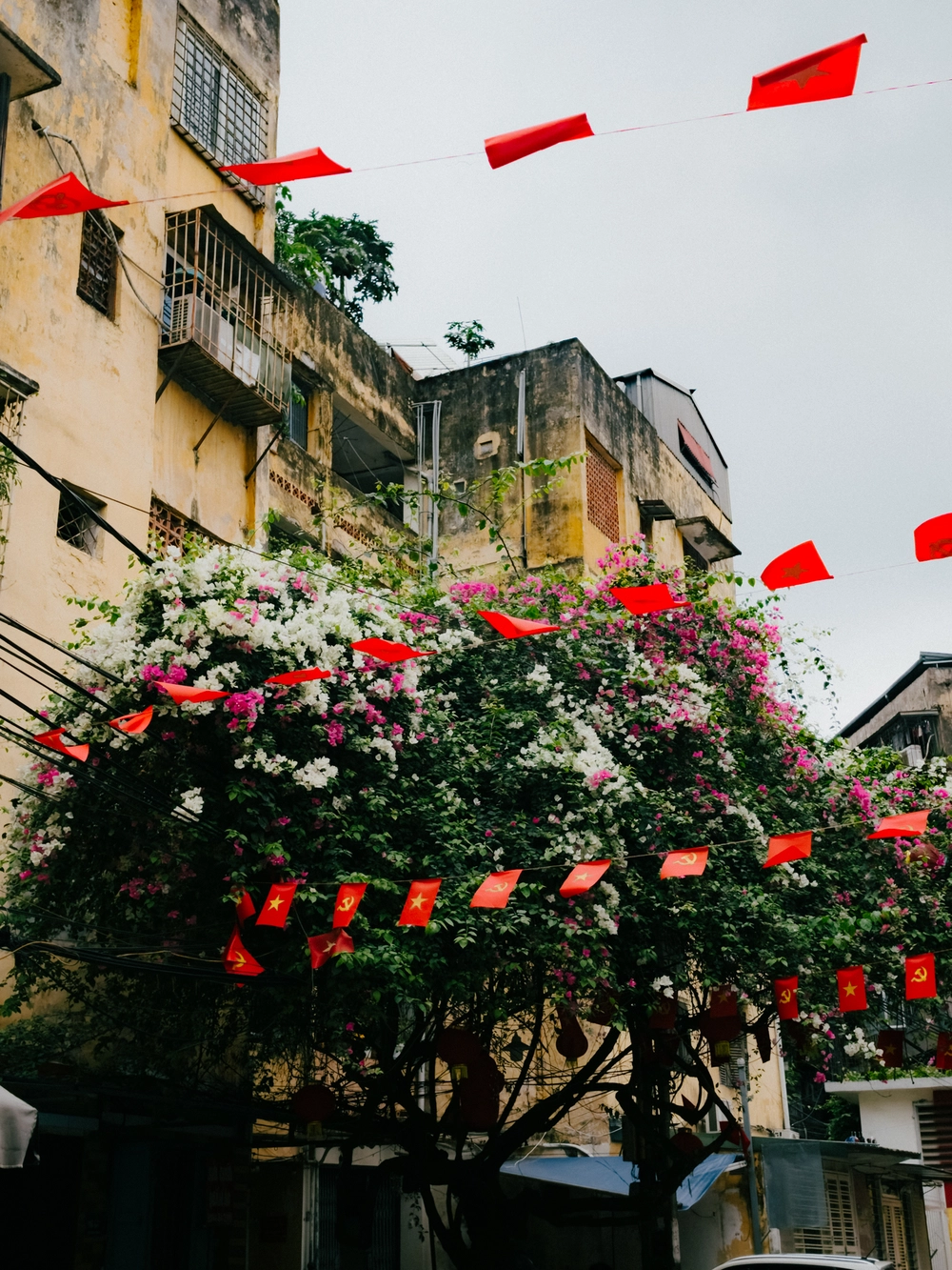 Cùng Galaxy S26 Ultra ngắm Thủ Đô mùa 'đỏng đảnh': Ghé chợ sớm Long Biên, thăm dàn hoa giấy khu tập thể để thấy hóa ra Hà Nội vẫn 'tình' đến vậy - Ảnh 56.