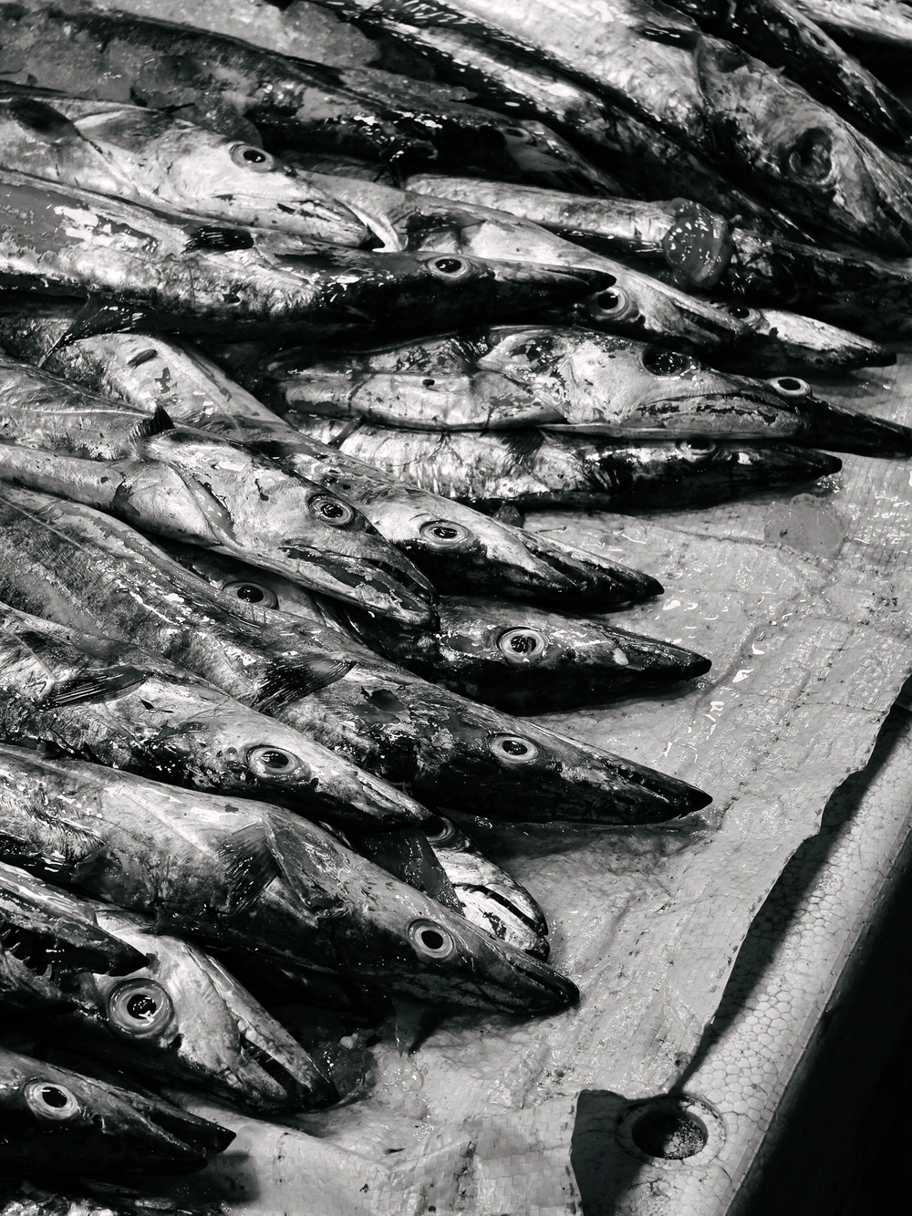 Cùng Galaxy S26 Ultra ngắm Thủ Đô mùa 'đỏng đảnh': Ghé chợ sớm Long Biên, thăm dàn hoa giấy khu tập thể để thấy hóa ra Hà Nội vẫn 'tình' đến vậy - Ảnh 22.