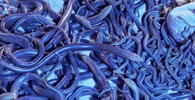 Sự thật 'ngã ngửa' về những bộ phim nổi tiếng - Ảnh 8. Sự thật 'ngã ngửa' về những bộ phim nổi tiếng - Ảnh 8.