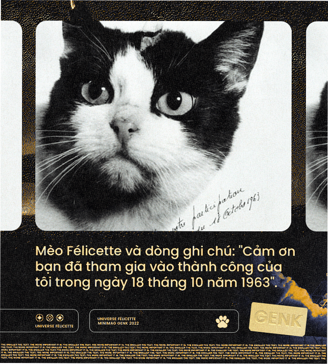 M&egrave;o cũng đ&atilde; từng v&agrave;o kh&ocirc;ng gian, v&agrave; t&ecirc;n "c&ocirc; b&eacute;" l&agrave; F&eacute;licette - Ảnh 1.