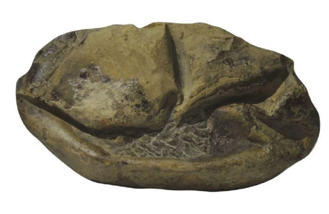 Th&ecirc;m 3 kh&aacute;m ph&aacute; đ&aacute;ng kinh ngạc m&agrave; c&aacute;c nh&agrave; khoa học chưa thể giải th&iacute;ch nổi - Ảnh 7.