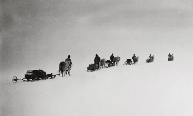 Nam Cực lục địa chứa đựng đầy đau đớn và hi sinh của loài chó - Ảnh 5. Nam Cực lục địa chứa đựng đầy đau đớn và hi sinh của loài chó - Ảnh 5.