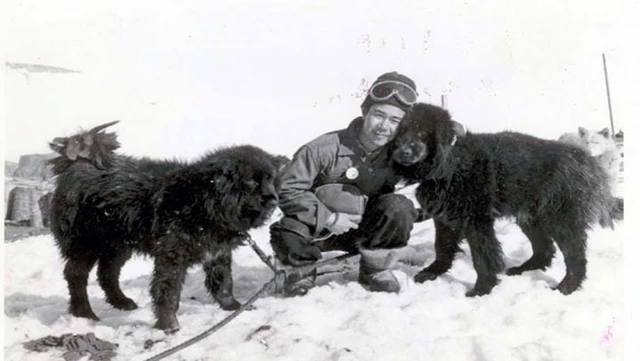 Nam Cực lục địa chứa đựng đầy đau đớn và hi sinh của loài chó - Ảnh 7. Nam Cực lục địa chứa đựng đầy đau đớn và hi sinh của loài chó - Ảnh 7.