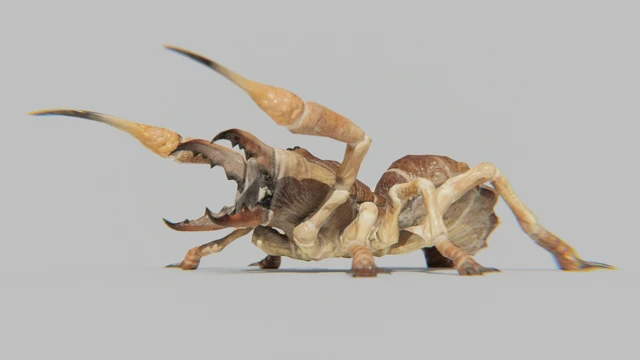 Nhện lạc đà, kẻ săn mồi đáng sợ của sa mạc - Ảnh 2. Nhện lạc đà, kẻ săn mồi đáng sợ của sa mạc - Ảnh 2.