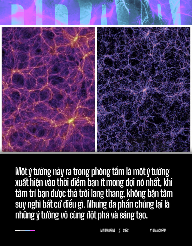 Đi t&igrave;m suối nguồn s&aacute;ng tạo trong n&atilde;o bộ: Tại sao những &yacute; tưởng đột ph&aacute; lu&ocirc;n xuất hiện khi ch&uacute;ng ta đang tắm? - Ảnh 3.