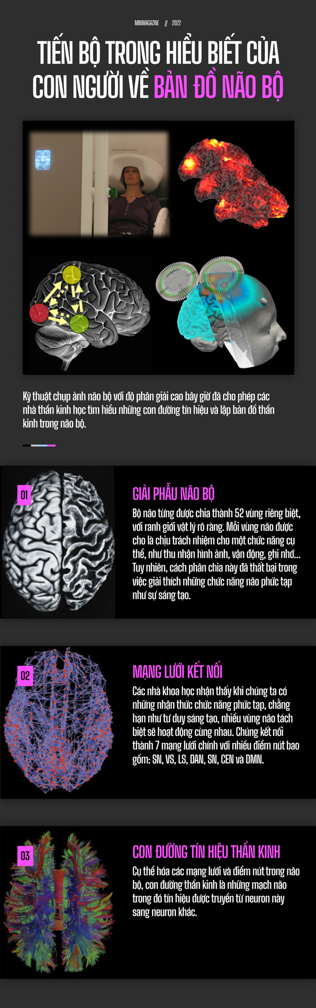 Đi t&igrave;m suối nguồn s&aacute;ng tạo trong n&atilde;o bộ: Tại sao những &yacute; tưởng đột ph&aacute; lu&ocirc;n xuất hiện khi ch&uacute;ng ta đang tắm? - Ảnh 5.