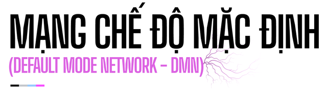 Đi tìm suối nguồn sáng tạo trong não bộ: Tại sao những ý tưởng đột phá luôn xuất hiện khi chúng ta đang tắm? - Ảnh 6. Đi tìm suối nguồn sáng tạo trong não bộ: Tại sao những ý tưởng đột phá luôn xuất hiện khi chúng ta đang tắm? - Ảnh 6.