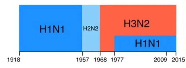 Khả năng miễn dịch của bạn liên quan đến năm sinh! - Ảnh 2. Khả năng miễn dịch của bạn liên quan đến năm sinh! - Ảnh 2.