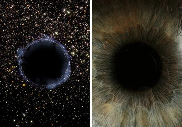 Có một vũ trụ ẩn bên trong cơ thể chúng ta, và đây là minh chứng - Ảnh 1. Có một vũ trụ ẩn bên trong cơ thể chúng ta, và đây là minh chứng - Ảnh 1.