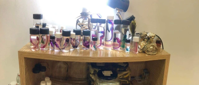 Cậu học sinh lớp 9 tại Việt Nam và ý tưởng lưu giữ vẻ đẹp của cái chết - Ảnh 1. Cậu học sinh lớp 9 tại Việt Nam và ý tưởng lưu giữ vẻ đẹp của cái chết - Ảnh 1.