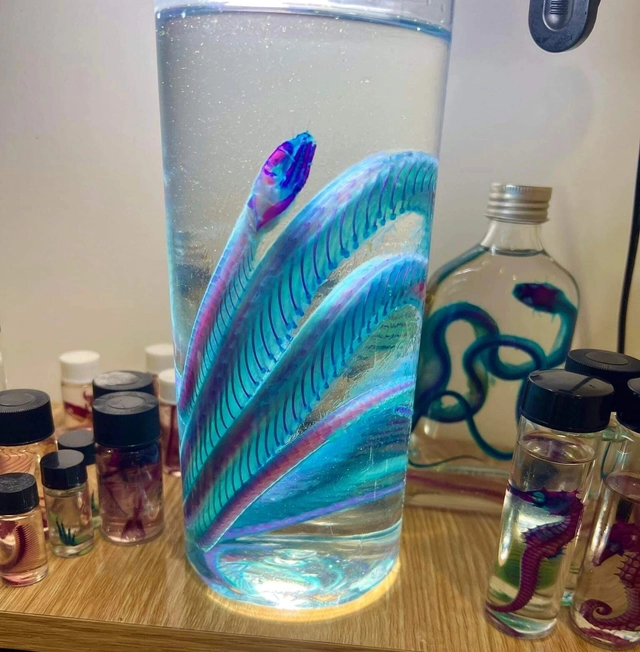 Cậu học sinh lớp 9 tại Việt Nam và ý tưởng lưu giữ vẻ đẹp của cái chết - Ảnh 4. Cậu học sinh lớp 9 tại Việt Nam và ý tưởng lưu giữ vẻ đẹp của cái chết - Ảnh 4.