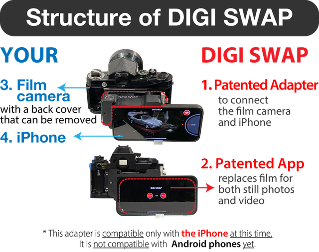 Digital Swap - Ảnh 2.