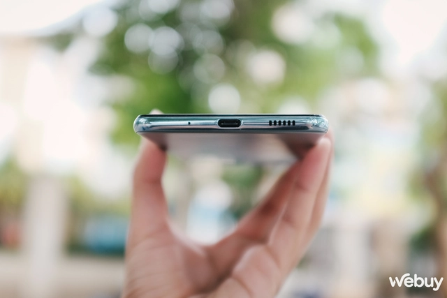 M53 - Ảnh 12. M53 - Ảnh 12.