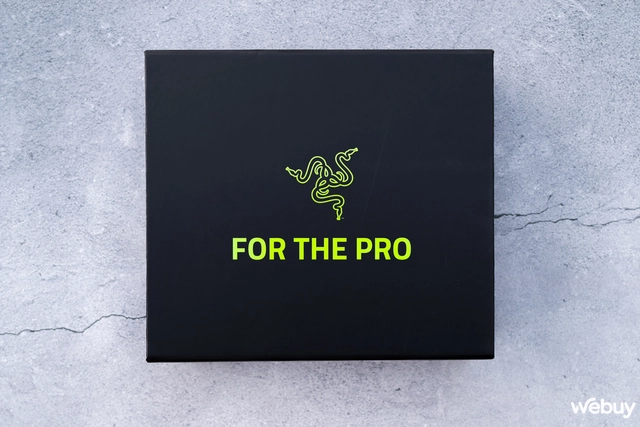 Razer Viper 2 Pro - Ảnh 2. Razer Viper 2 Pro - Ảnh 2.
