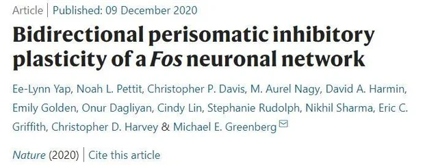 Kí ức được hình thành như thế nào? - Ảnh 5. Kí ức được hình thành như thế nào? - Ảnh 5.