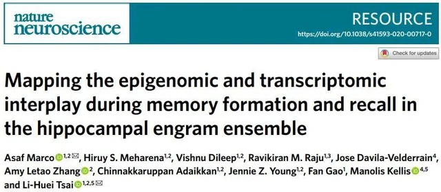 Kí ức được hình thành như thế nào? - Ảnh 1. Kí ức được hình thành như thế nào? - Ảnh 1.