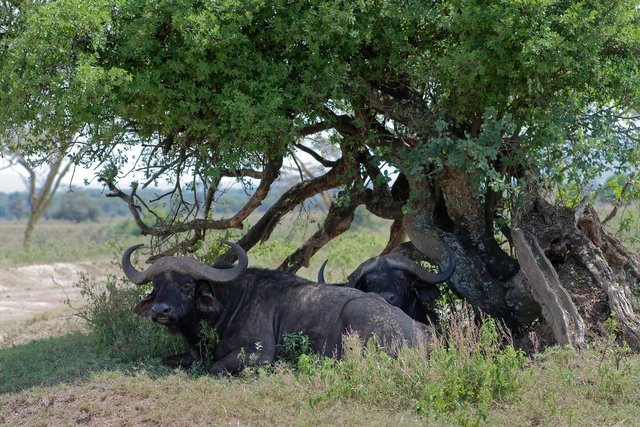 Tại sao nam giới thích để điều hòa lạnh sâu, còn phụ nữ chỉ cần hơi mát quá đã không chịu được? - Ảnh 4. Tại sao nam giới thích để điều hòa lạnh sâu, còn phụ nữ chỉ cần hơi mát quá đã không chịu được? - Ảnh 4.