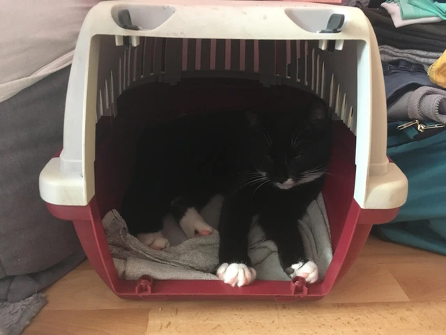 Mẹo vặt đơn giản trong cuộc sống mà ai cũng nên biết - Ảnh 11. Mẹo vặt đơn giản trong cuộc sống mà ai cũng nên biết - Ảnh 11.