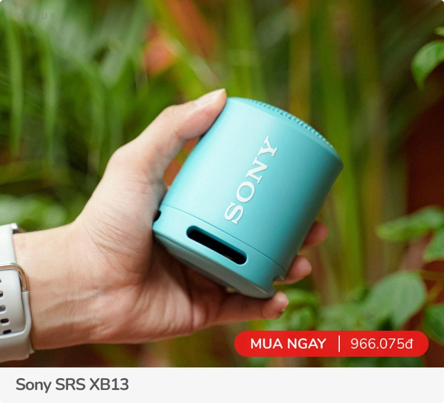 Tầm 1 triệu mua loa di động có 5 lựa chọn này "nhỏ mà có võ" cực đáng mua - Ảnh 5. Tầm 1 triệu mua loa di động có 5 lựa chọn này "nhỏ mà có võ" cực đáng mua - Ảnh 5.