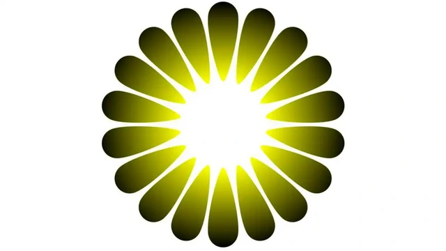 Ảo ảnh quang học này khiến 86% người nhìn vào có cảm giác như 'rơi vào hố đen' - Ảnh 2. Ảo ảnh quang học này khiến 86% người nhìn vào có cảm giác như 'rơi vào hố đen' - Ảnh 2.