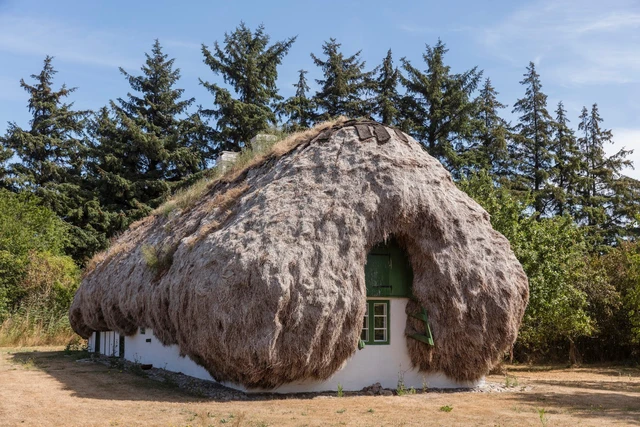 Vật liệu tự nhiên siêu bền, nếu trải lên mái nhà, nó sẽ không bị mục nát trong suốt 300 năm - Ảnh 5. Vật liệu tự nhiên siêu bền, nếu trải lên mái nhà, nó sẽ không bị mục nát trong suốt 300 năm - Ảnh 5.