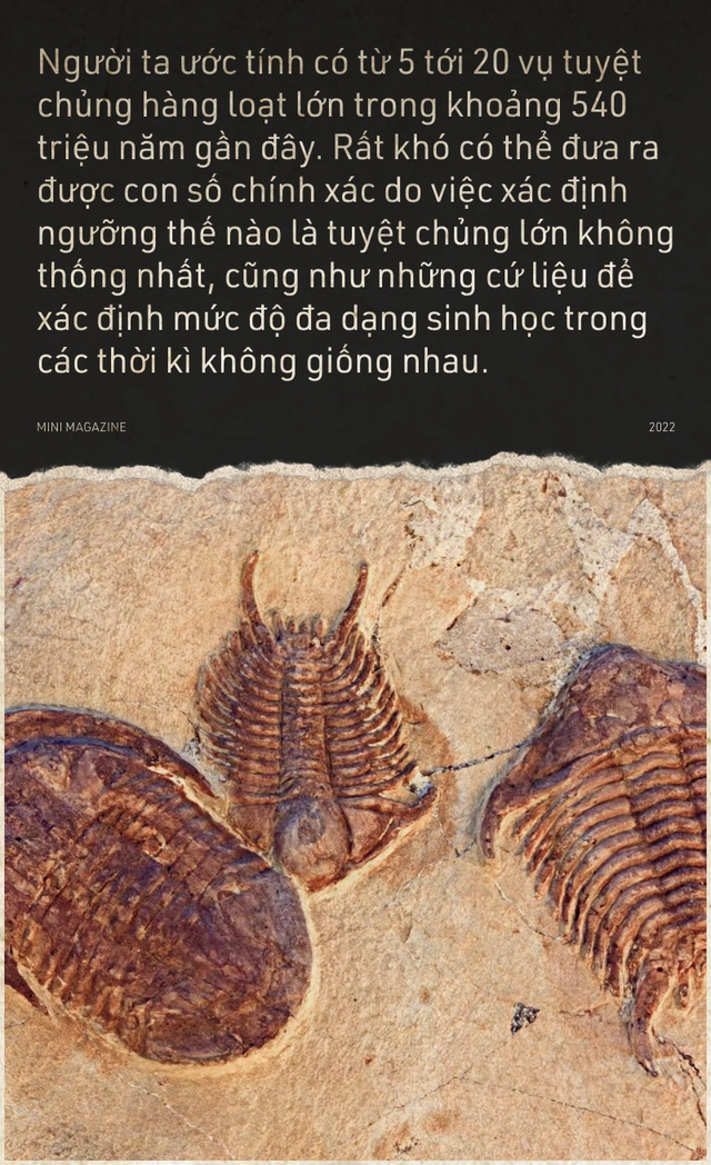 Tại sao sự tuyệt chủng h&agrave;ng loạt lại xảy ra? - Ảnh 4.