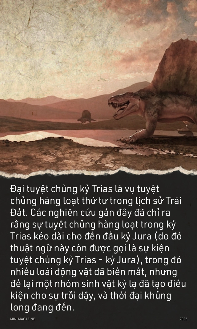 Tại sao sự tuyệt chủng h&agrave;ng loạt lại xảy ra? - Ảnh 10.