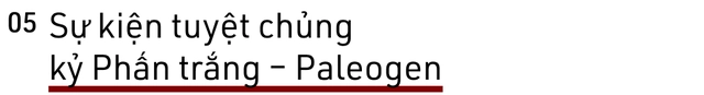 Tại sao sự tuyệt chủng hàng loạt lại xảy ra? - Ảnh 11. Tại sao sự tuyệt chủng hàng loạt lại xảy ra? - Ảnh 11.