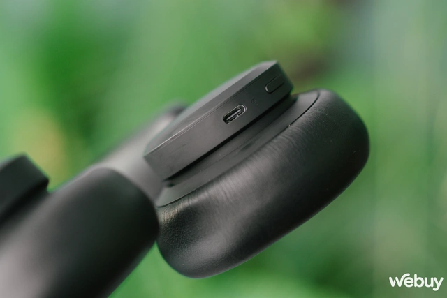 Urbanista Los Angeles - Ảnh 5. Urbanista Los Angeles - Ảnh 5.