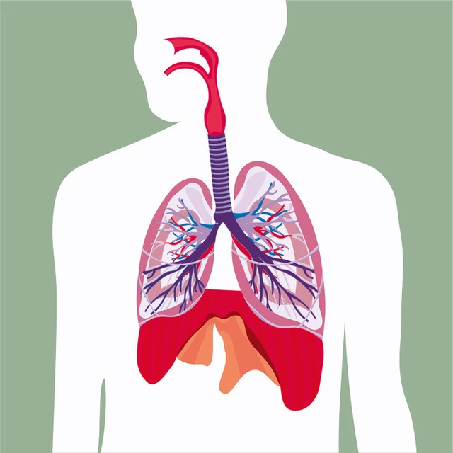 8 sự thật về cơ thể con người mà bạn có thể chưa biết - Ảnh 5. 8 sự thật về cơ thể con người mà bạn có thể chưa biết - Ảnh 5.