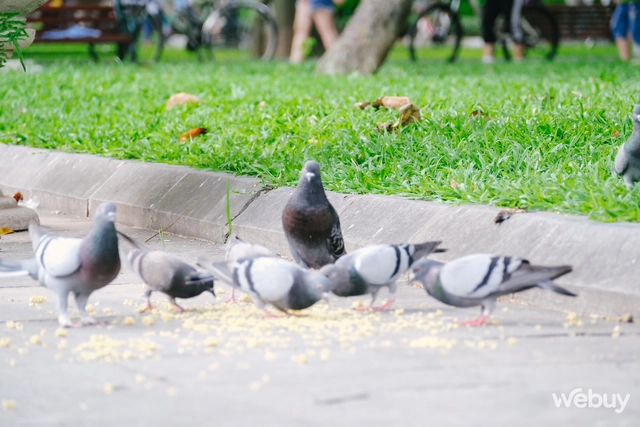 Tr&ecirc;n tay v&agrave; trải nghiệm nhanh Fujifilm X-H2s: Tốc độ được đặt l&ecirc;n h&agrave;ng đầu - Ảnh 20.