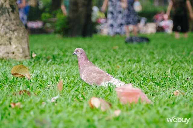 Tr&ecirc;n tay v&agrave; trải nghiệm nhanh Fujifilm X-H2s: Tốc độ được đặt l&ecirc;n h&agrave;ng đầu - Ảnh 21.