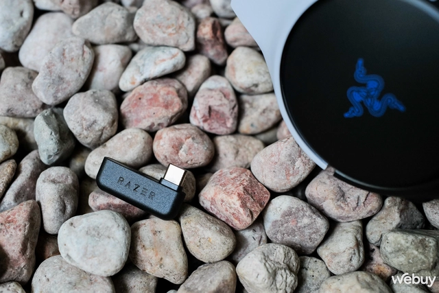 Razer Kaira - Ảnh 4. Razer Kaira - Ảnh 4.