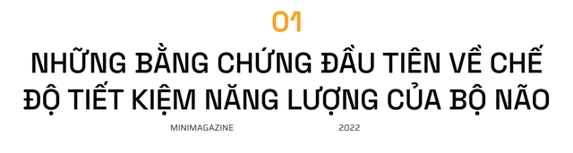 Khi bạn đ&oacute;i, n&atilde;o bộ c&oacute; thể bật "chế độ tiết kiệm pin" v&agrave; giảm độ ph&acirc;n giải thị gi&aacute;c của bạn xuống - Ảnh 3.