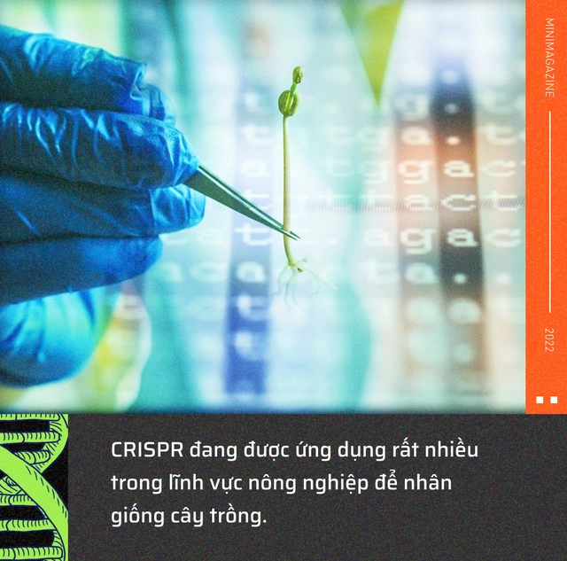Tròn một thập kỷ CRISPR: Từ nghiên cứu bị lãng quên đến giải Nobel kiến tạo kỷ nguyên mới - Ảnh 13. Tròn một thập kỷ CRISPR: Từ nghiên cứu bị lãng quên đến giải Nobel kiến tạo kỷ nguyên mới - Ảnh 13.