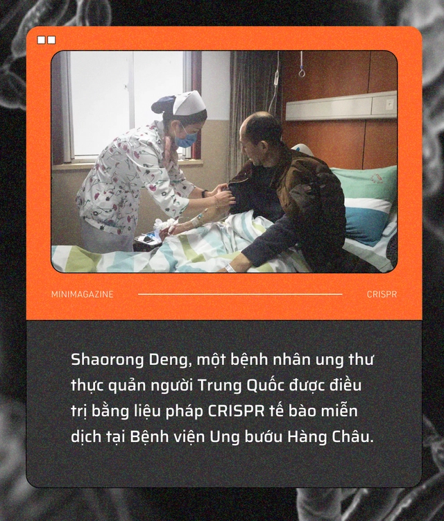 Tròn một thập kỷ CRISPR: Từ nghiên cứu bị lãng quên đến giải Nobel kiến tạo kỷ nguyên mới - Ảnh 15. Tròn một thập kỷ CRISPR: Từ nghiên cứu bị lãng quên đến giải Nobel kiến tạo kỷ nguyên mới - Ảnh 15.