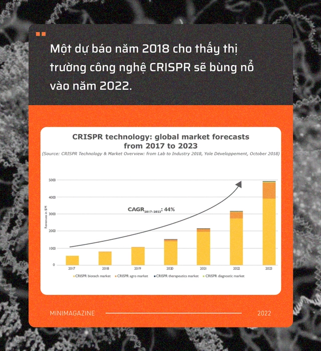 Tròn một thập kỷ CRISPR: Từ nghiên cứu bị lãng quên đến giải Nobel kiến tạo kỷ nguyên mới - Ảnh 17. Tròn một thập kỷ CRISPR: Từ nghiên cứu bị lãng quên đến giải Nobel kiến tạo kỷ nguyên mới - Ảnh 17.
