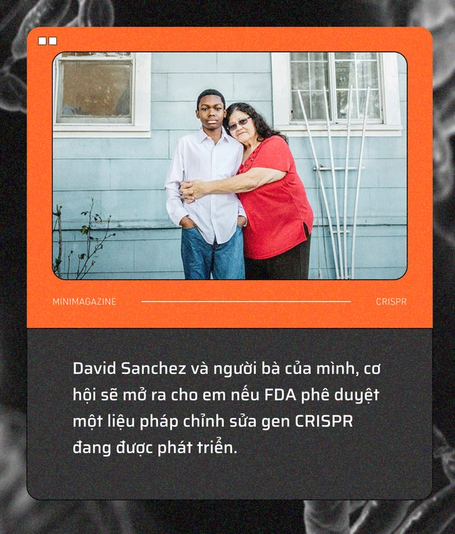 Tròn một thập kỷ CRISPR: Từ nghiên cứu bị lãng quên đến giải Nobel kiến tạo kỷ nguyên mới - Ảnh 11. Tròn một thập kỷ CRISPR: Từ nghiên cứu bị lãng quên đến giải Nobel kiến tạo kỷ nguyên mới - Ảnh 11.