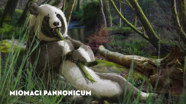 Quê hương gấu trúc có thể không phải ở Trung Quốc, mà là Châu Âu - Ảnh 8. Quê hương gấu trúc có thể không phải ở Trung Quốc, mà là Châu Âu - Ảnh 8.