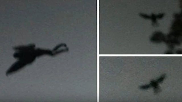 Mothman: Truyền thuyết đô thị hay sinh vật chưa được biết đến? - Ảnh 2. Mothman: Truyền thuyết đô thị hay sinh vật chưa được biết đến? - Ảnh 2.