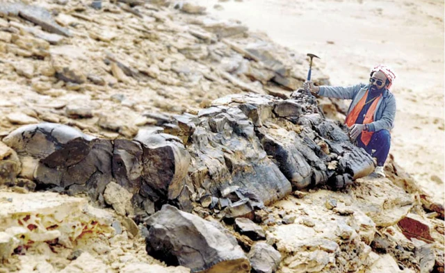 Trước khi cây cối thống trị, Trái Đất được bao phủ bởi những loài nấm khổng lồ - Ảnh 2. Trước khi cây cối thống trị, Trái Đất được bao phủ bởi những loài nấm khổng lồ - Ảnh 2.