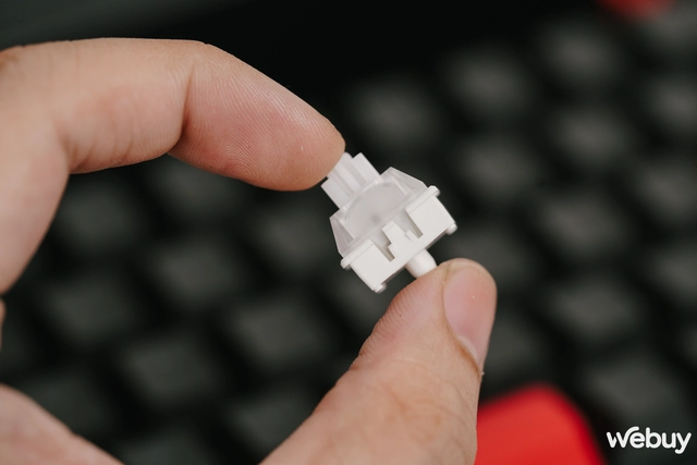 Bàn phím cơ với khả năng nhận phím nhanh như màn hình cảm ứng- Ảnh 17. Bàn phím cơ với khả năng nhận phím nhanh như màn hình cảm ứng- Ảnh 17.