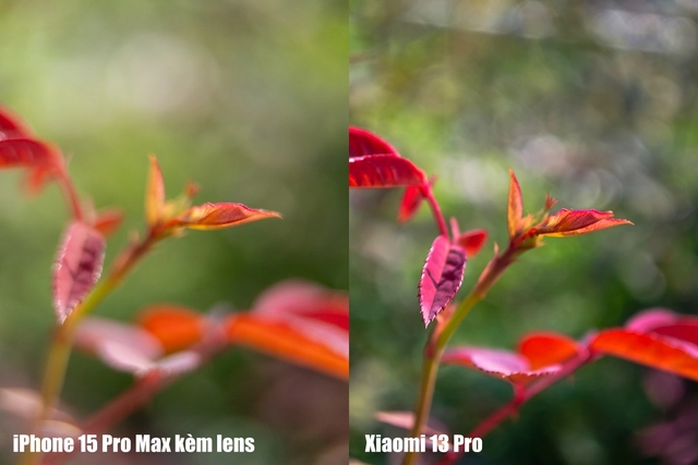 Xiaomi 14 Pro có công nghệ camera này cả iPhone, Galaxy xịn nhất đều chụp xấu hơn- Ảnh 25. Xiaomi 14 Pro có công nghệ camera này cả iPhone, Galaxy xịn nhất đều chụp xấu hơn- Ảnh 25.