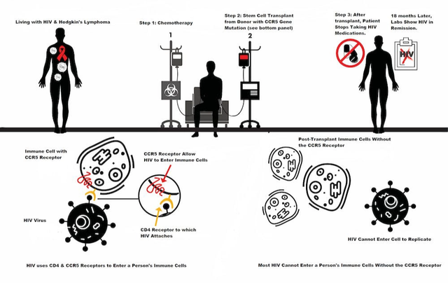 Kì diệu: Thế giới lại vừa có thêm 1 người chữa khỏi HIV, ông ấy là bệnh nhân thứ 5 làm được điều đó - Ảnh 4. Kì diệu: Thế giới lại vừa có thêm 1 người chữa khỏi HIV, ông ấy là bệnh nhân thứ 5 làm được điều đó - Ảnh 4.