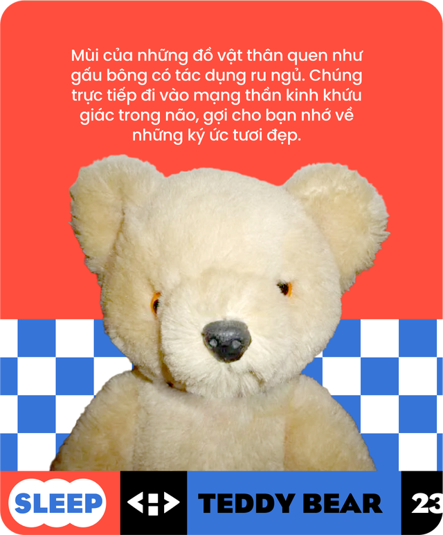 C&oacute; ai ở Việt Nam hơn 20 tuổi rồi vẫn c&ograve;n ngủ với gấu b&ocirc;ng kh&ocirc;ng? - Ảnh 13.