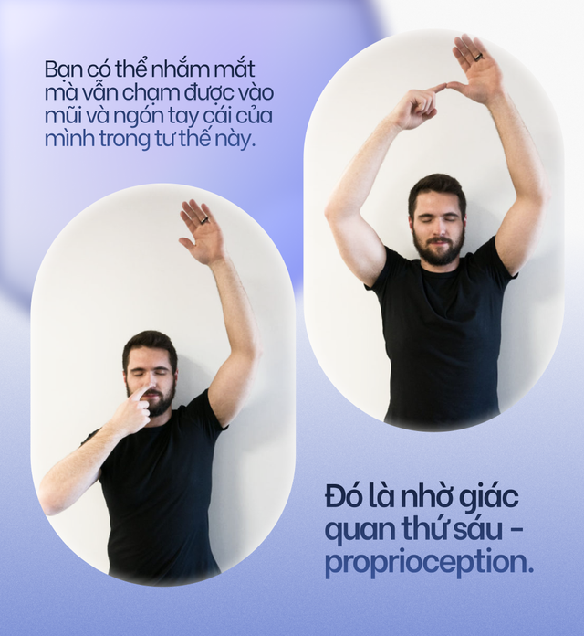 Khoa học của sự riêng tư: Tất cả chúng ta đều đang sống trong những bong bóng tưởng tượng - Ảnh 3. Khoa học của sự riêng tư: Tất cả chúng ta đều đang sống trong những bong bóng tưởng tượng - Ảnh 3.