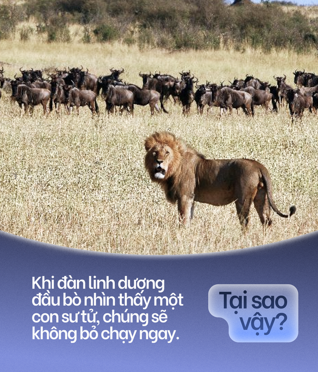 Khoa học của sự riêng tư: Tất cả chúng ta đều đang sống trong những bong bóng tưởng tượng - Ảnh 5. Khoa học của sự riêng tư: Tất cả chúng ta đều đang sống trong những bong bóng tưởng tượng - Ảnh 5.