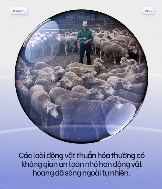 Khoa học của sự riêng tư: Tất cả chúng ta đều đang sống trong những bong bóng tưởng tượng - Ảnh 6. Khoa học của sự riêng tư: Tất cả chúng ta đều đang sống trong những bong bóng tưởng tượng - Ảnh 6.