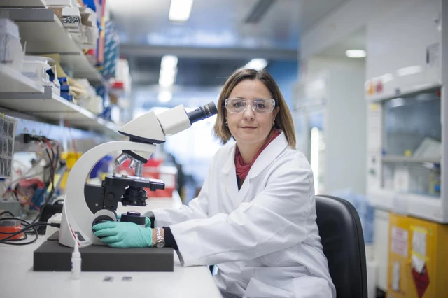 Nghiên cứu xét nghiệm nhanh sốt xuất huyết, cảnh báo sớm ca có nguy cơ tử vong cao - Ảnh 2. Nghiên cứu xét nghiệm nhanh sốt xuất huyết, cảnh báo sớm ca có nguy cơ tử vong cao - Ảnh 2.