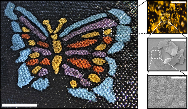 Khoa học ph&aacute;t minh ra sơn mới, chỉ 1,3 kilogram l&agrave; đủ để bao phủ một chiếc Boeing 747 - Ảnh 1.